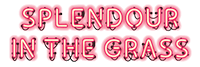 logo splendour in the grass e1731376682253