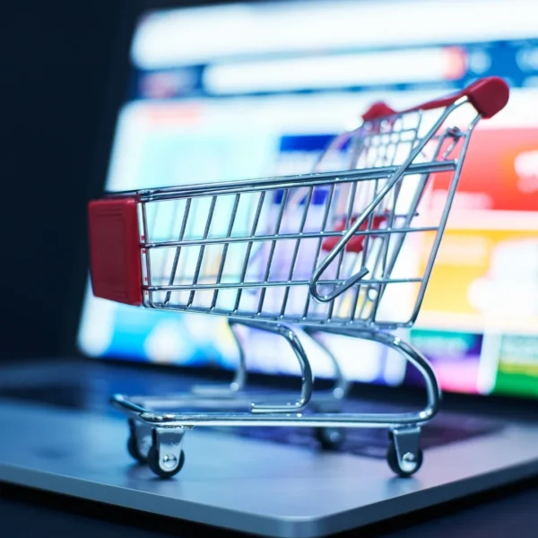 Ecommerce Services 1 Ecommerce SEO Sydney Agency